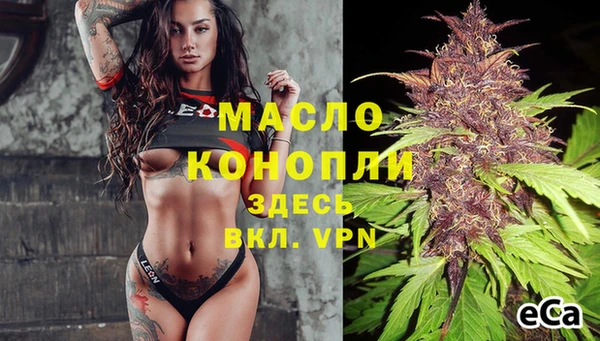 гашик Нефтекумск