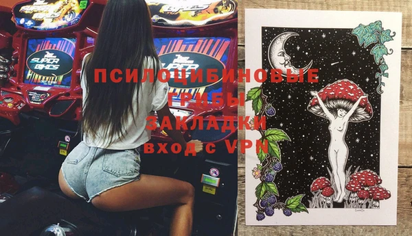 гашик Нефтекумск