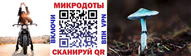 закладки  маркетплейс как зайти  Псилоцибиновые грибы Psilocybine cubensis  Юрьев-Польский 